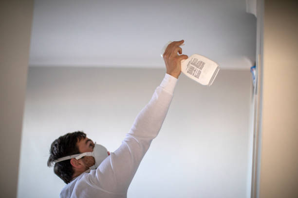 Best Attic Mold Remediation in Webster Groves, MO